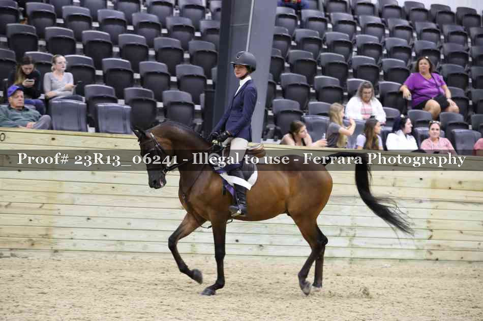 Proof Number 23R13_06241