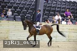 23R13_06241 thumbnail
