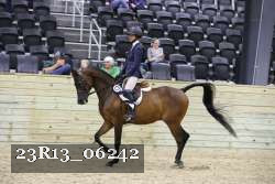 23R13_06242 thumbnail