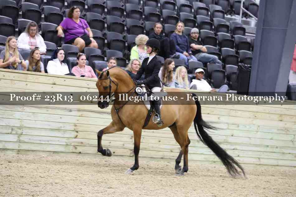Proof Number 23R13_06244