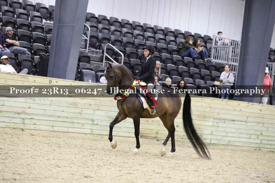 Proof Number 23R13_06247