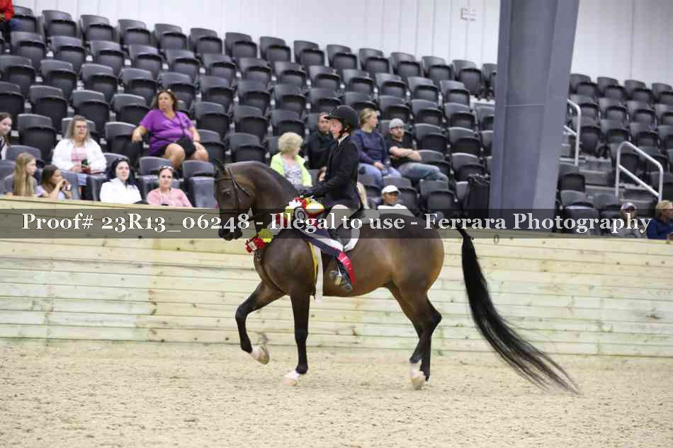 Proof Number 23R13_06248