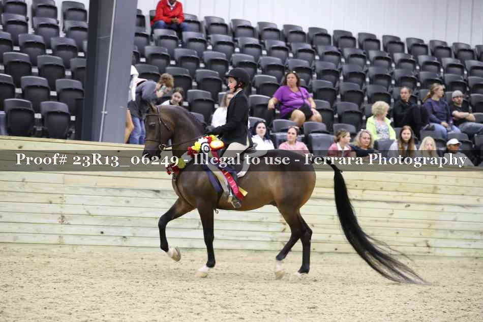 Proof Number 23R13_06249