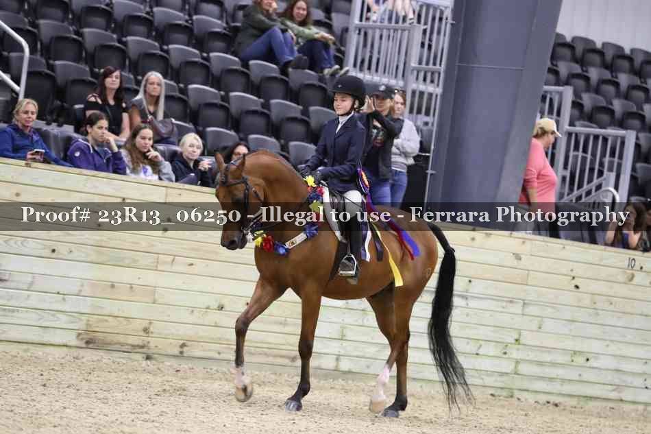 Proof Number 23R13_06250