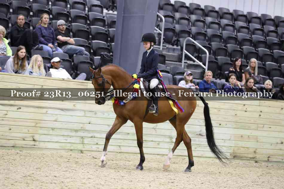 Proof Number 23R13_06251