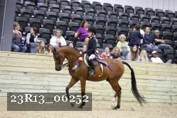 23R13_06252 thumbnail