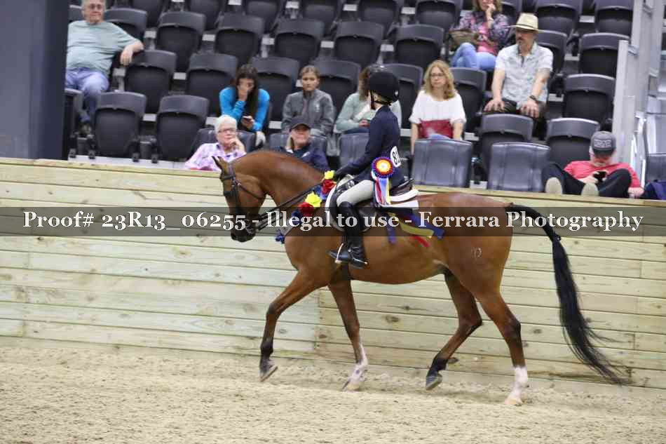 Proof Number 23R13_06255