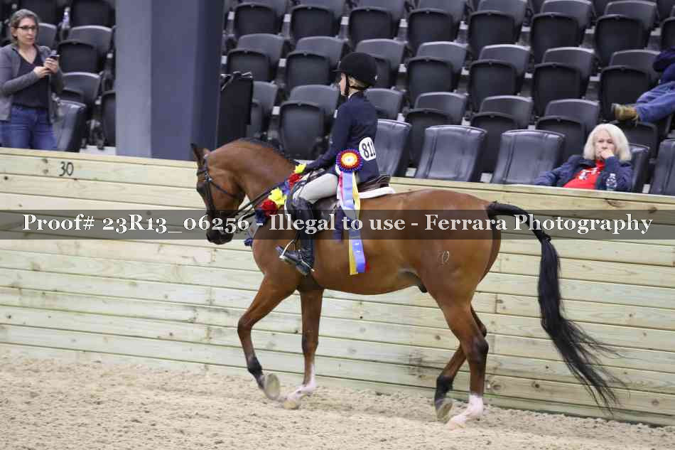 Proof Number 23R13_06256