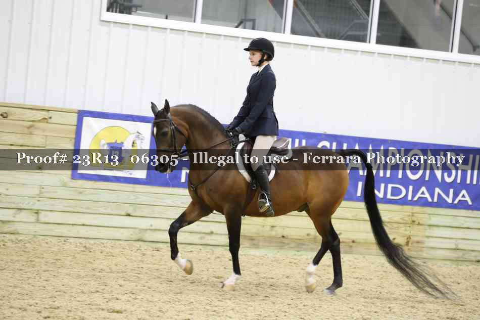 Proof Number 23R13_06305