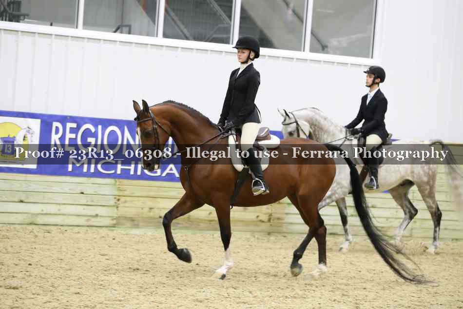 Proof Number 23R13_06308