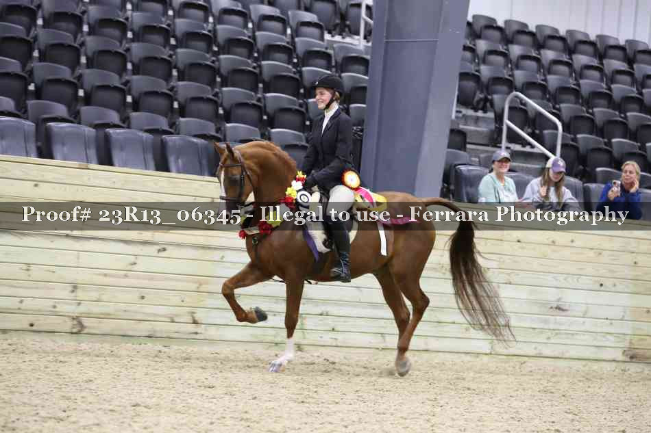 Proof Number 23R13_06345