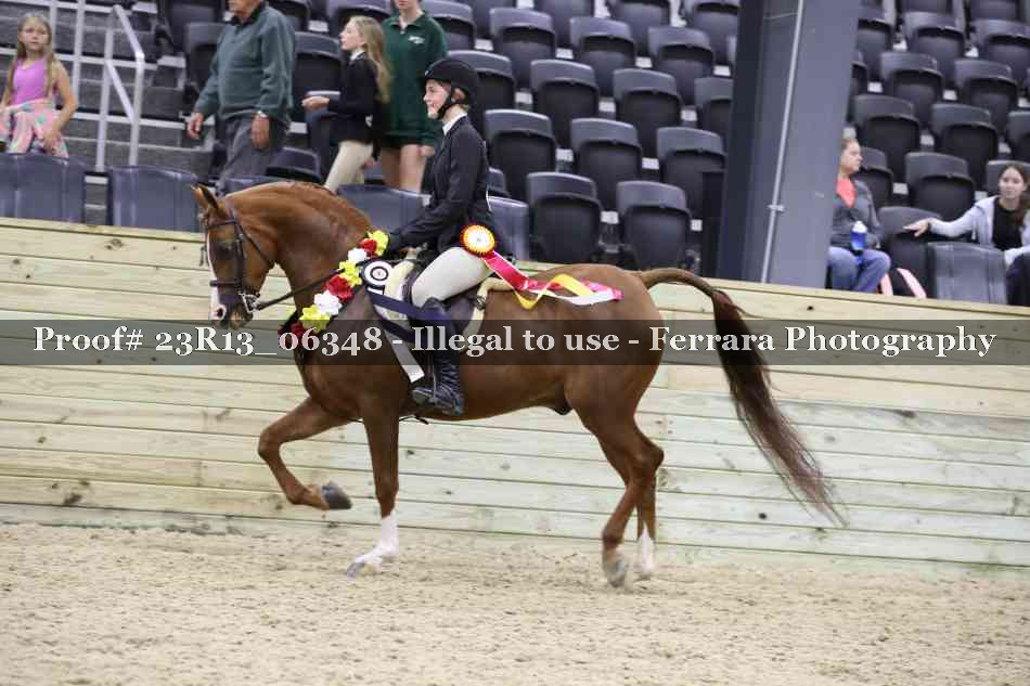 Proof Number 23R13_06348
