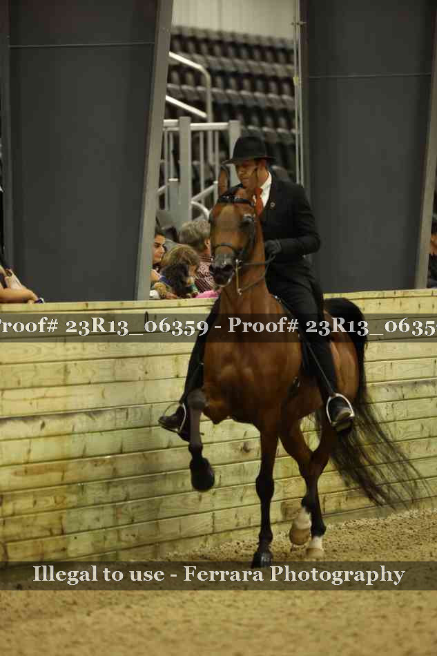 Proof Number 23R13_06359