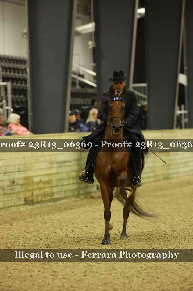 Proof Number 23R13_06369