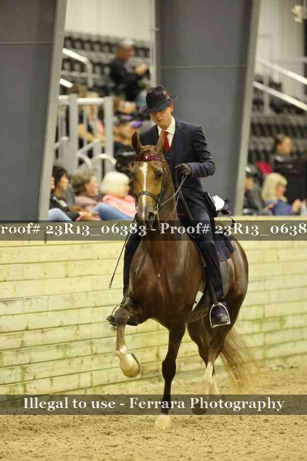 Proof Number 23R13_06383