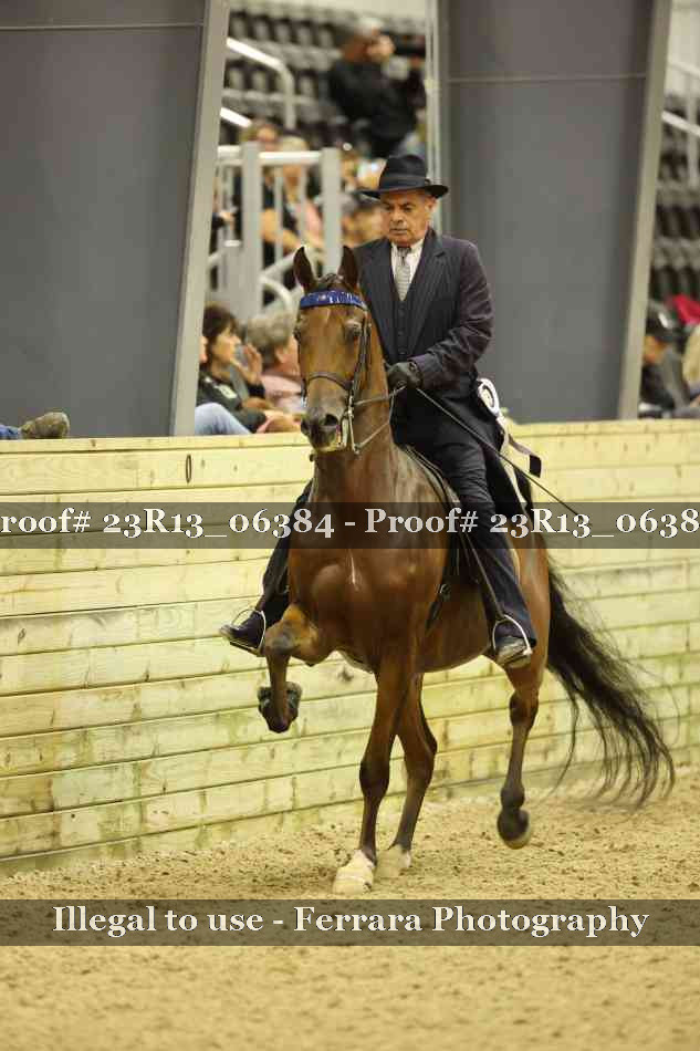 Proof Number 23R13_06384