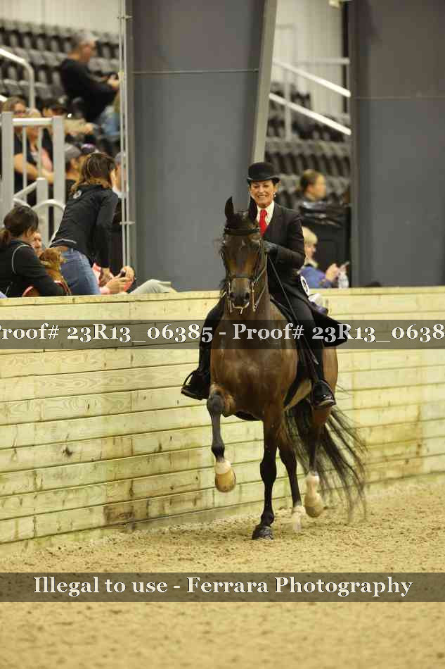 Proof Number 23R13_06385