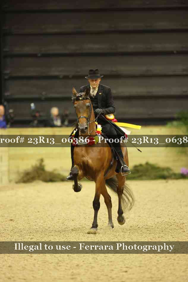 Proof Number 23R13_06386