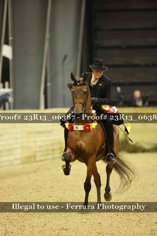 Proof Number 23R13_06387