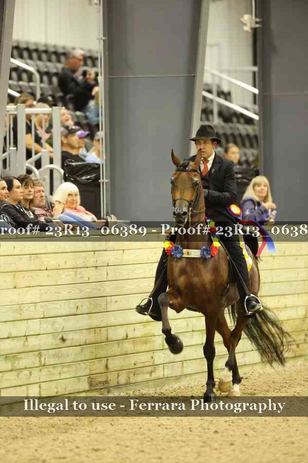 Proof Number 23R13_06389