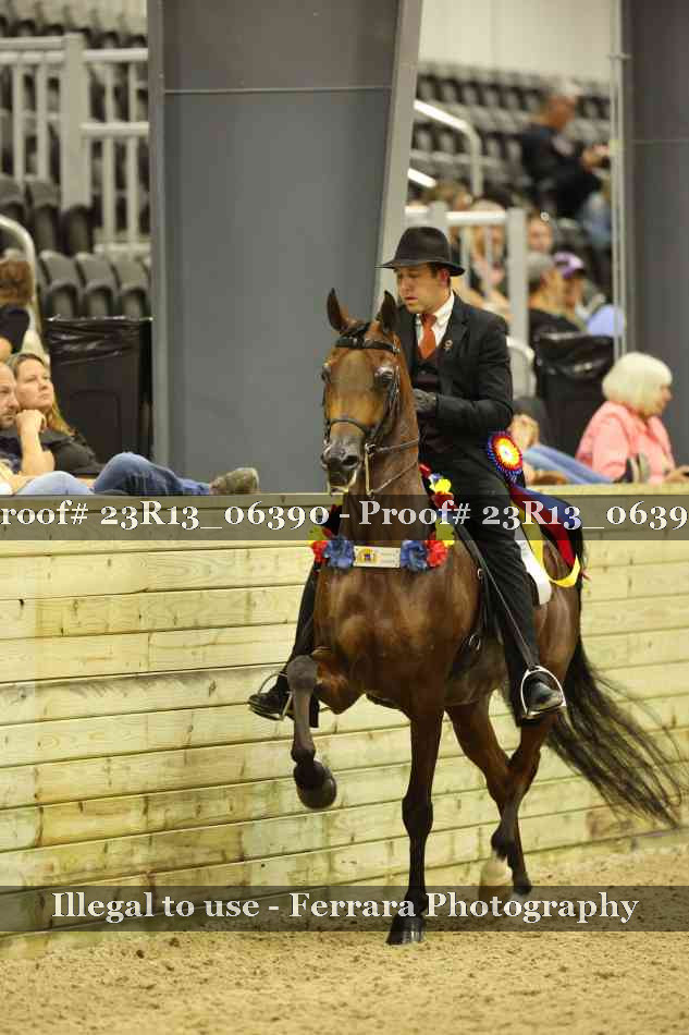 Proof Number 23R13_06390