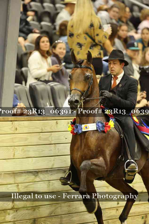Proof Number 23R13_06391
