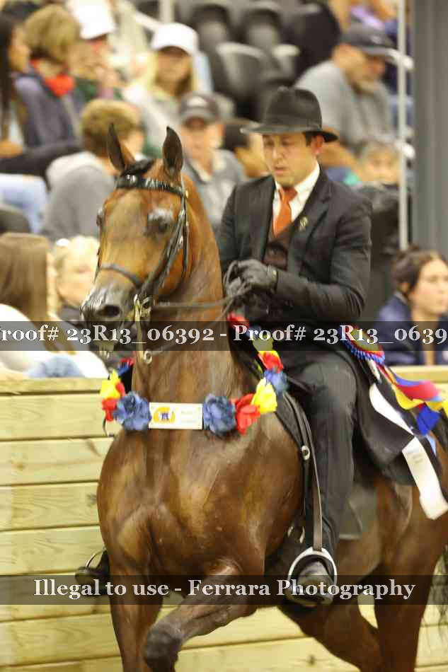 Proof Number 23R13_06392