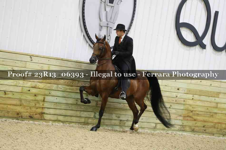 Proof Number 23R13_06393