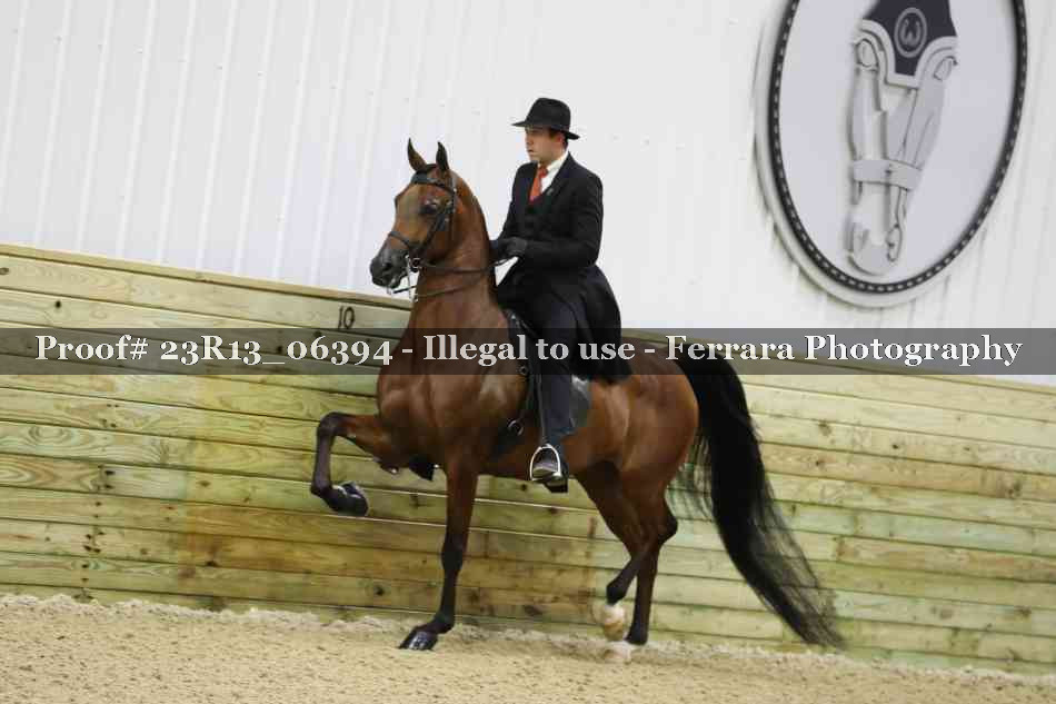 Proof Number 23R13_06394