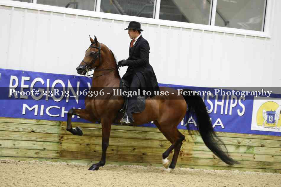 Proof Number 23R13_06396