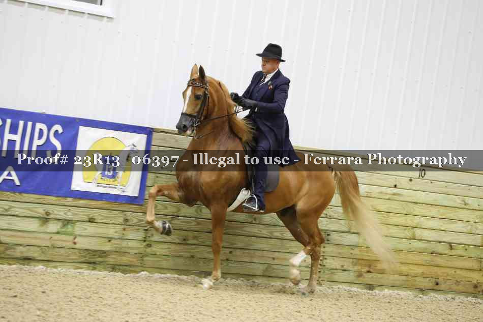 Proof Number 23R13_06397
