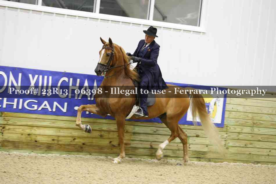 Proof Number 23R13_06398