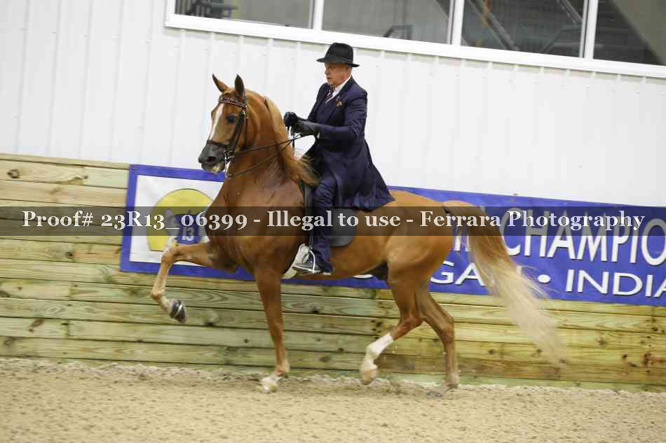 Proof Number 23R13_06399