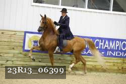 23R13_06399 thumbnail