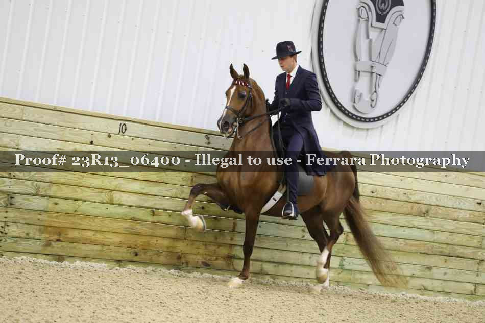 Proof Number 23R13_06400