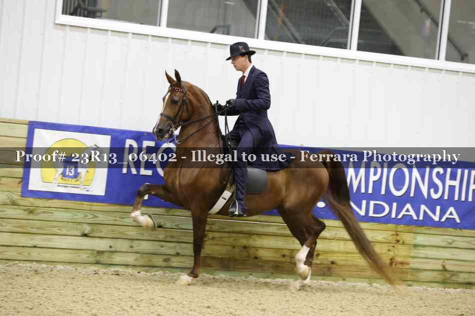Proof Number 23R13_06402