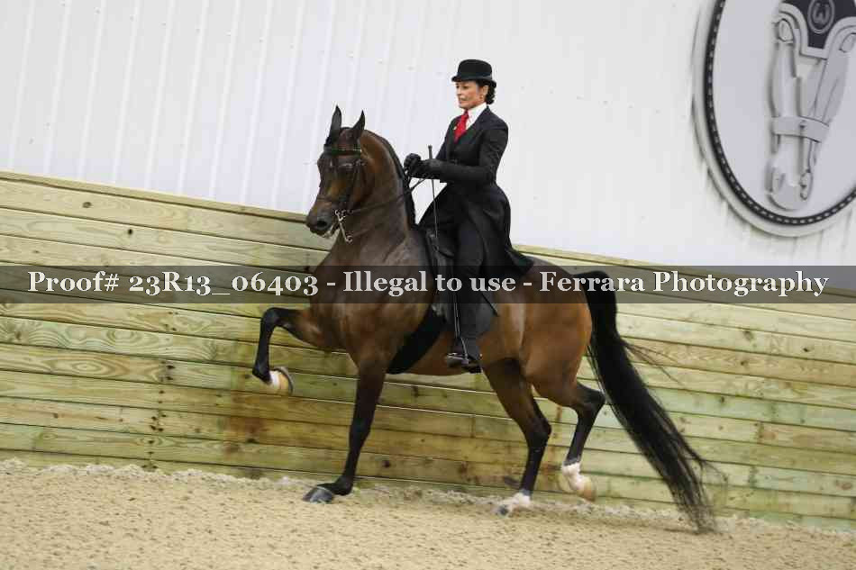 Proof Number 23R13_06403