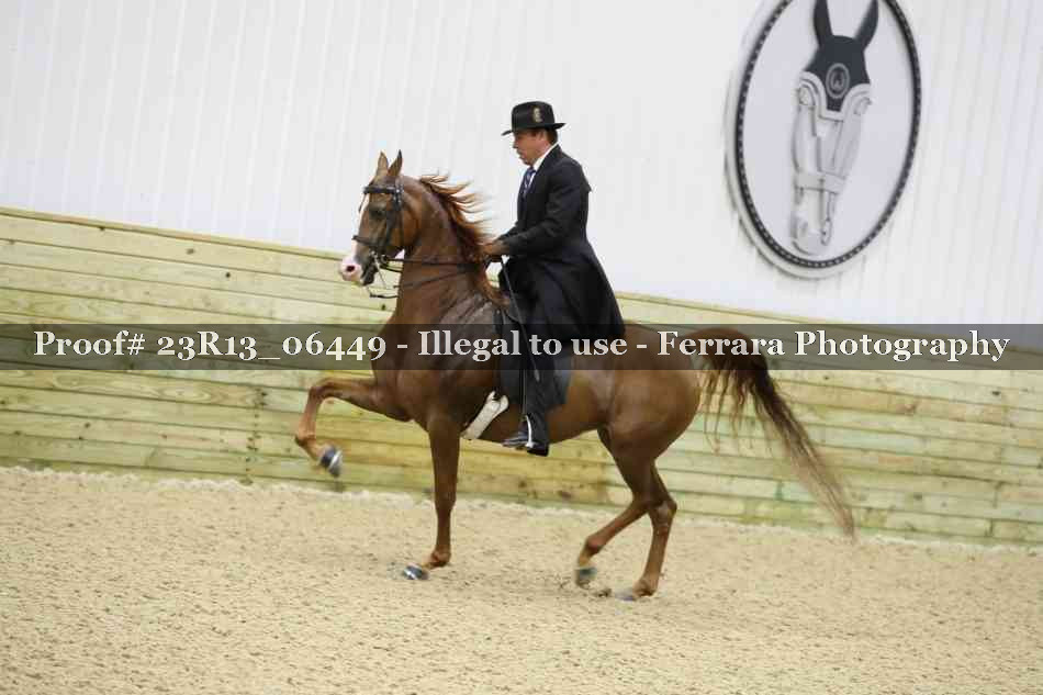 Proof Number 23R13_06449