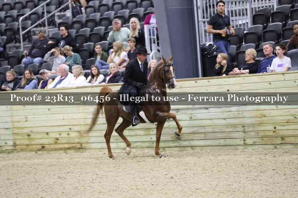 Proof Number 23R13_06456