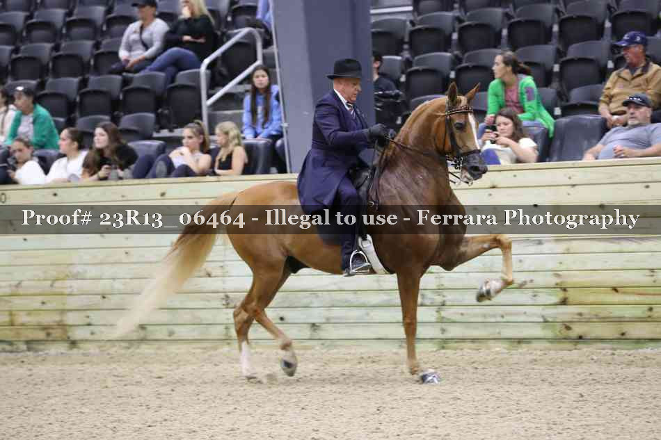 Proof Number 23R13_06464