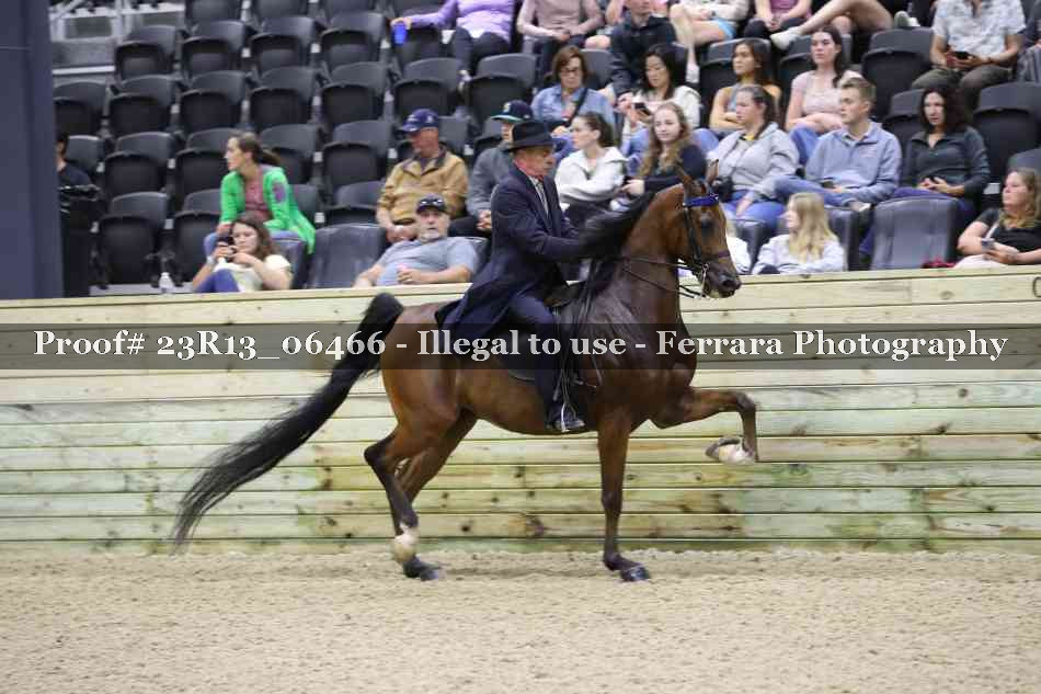 Proof Number 23R13_06466