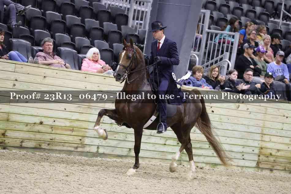 Proof Number 23R13_06479