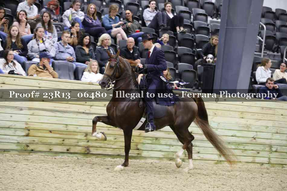Proof Number 23R13_06480