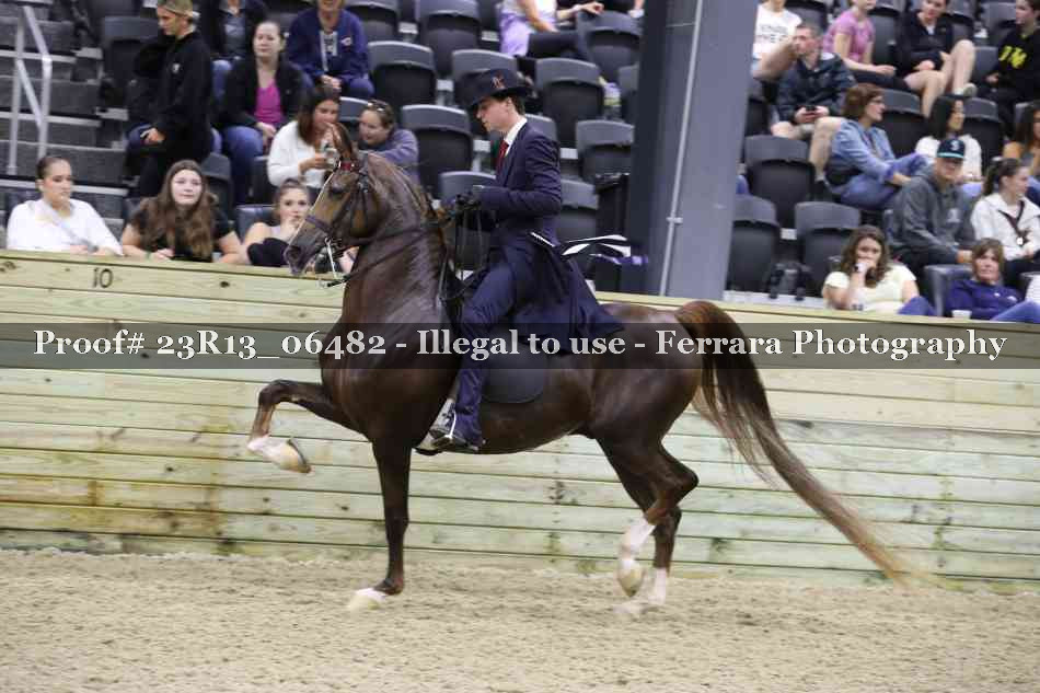Proof Number 23R13_06482
