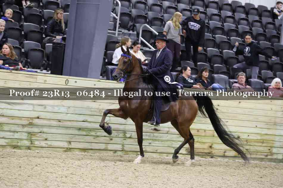 Proof Number 23R13_06484