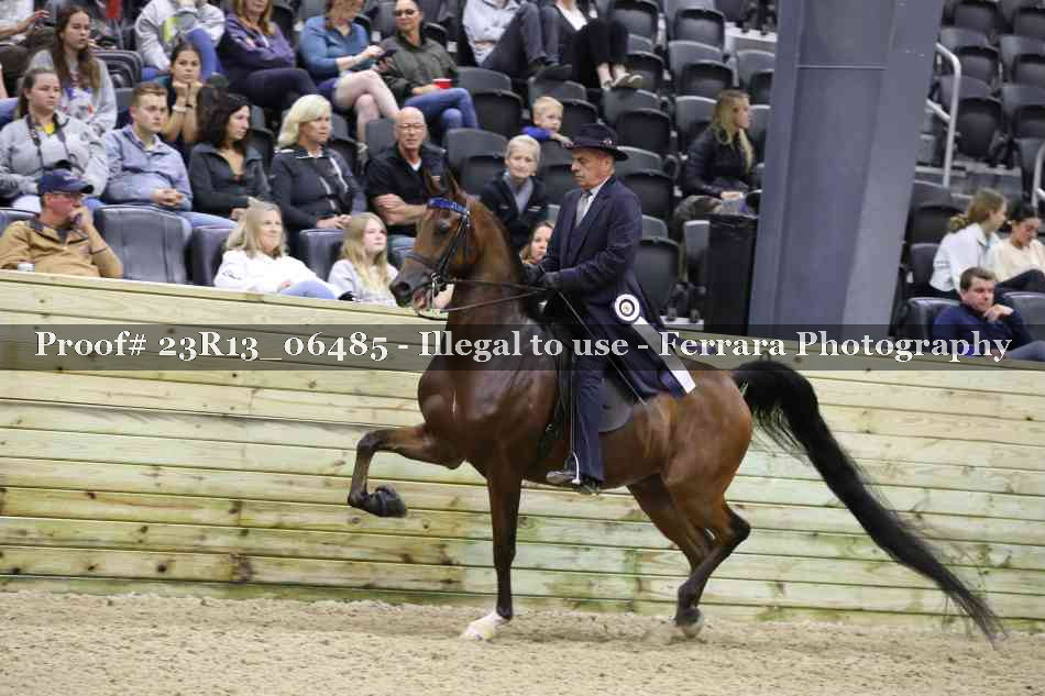 Proof Number 23R13_06485