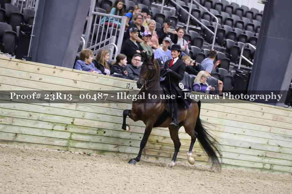 Proof Number 23R13_06487