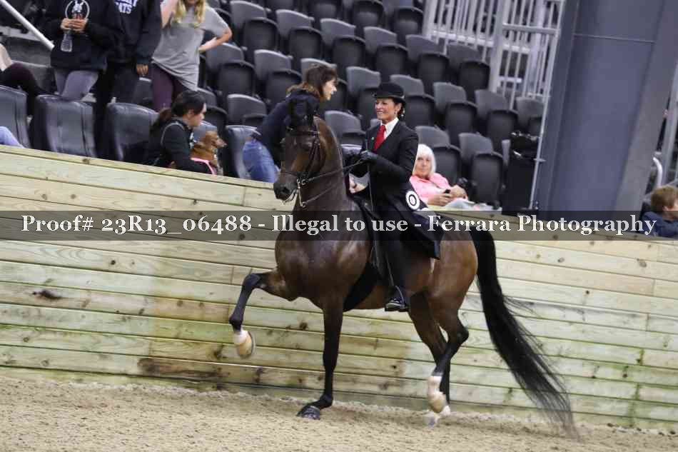 Proof Number 23R13_06488