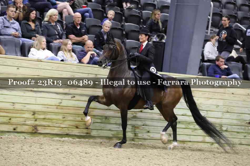 Proof Number 23R13_06489