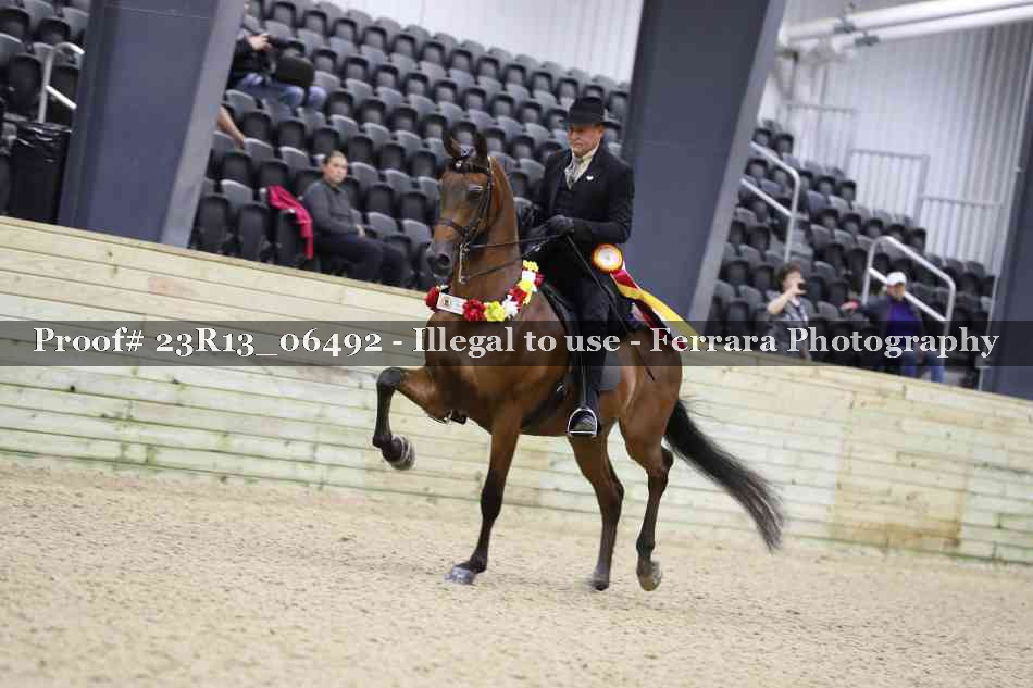 Proof Number 23R13_06492